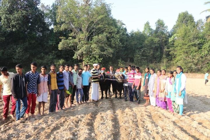 Activities at BJRS